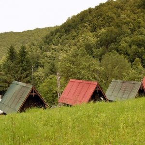 4. valea lui liman