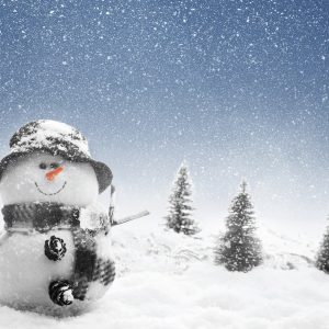 ninge