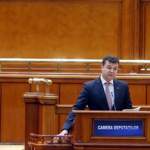 deputati-de-timis-2016-12-marline-pirtea
