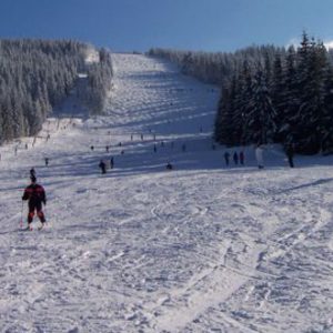 5. arieseni
