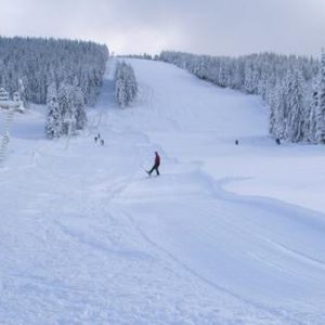 7. arieseni