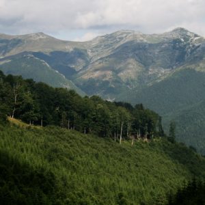13. muntii godeanu