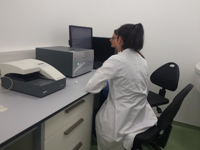 oncogen