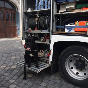 22312045_1560886097338228_1922217845_o