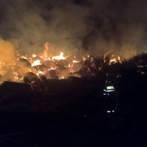 22537999_1956923304323995_870992622_n