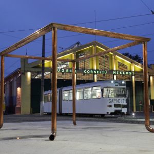 lucrarea lui Branislav Nikolić cu Muzeul Corneliu Miklosi in fundal (1)