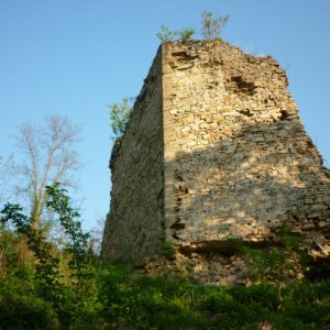 1. cetatea bocsa