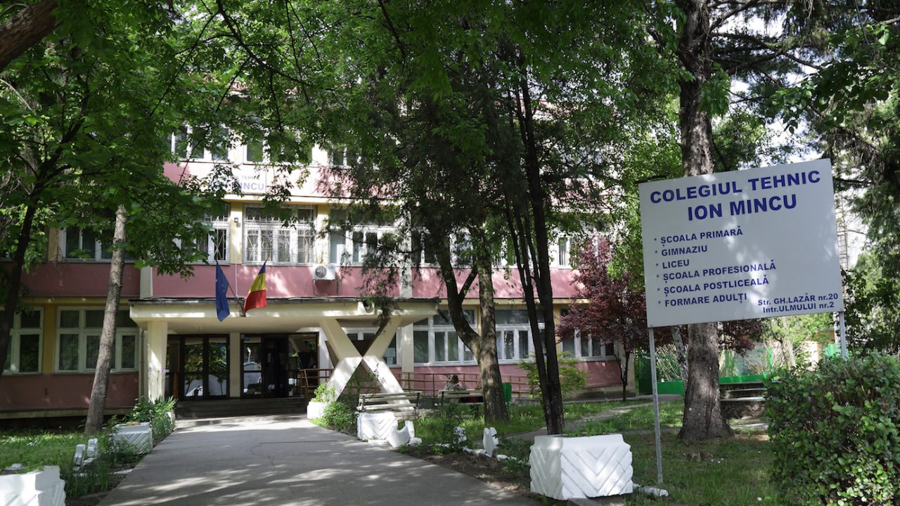 ion mincu