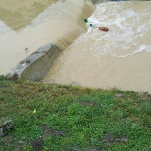 inundatii belint (6)