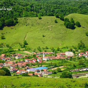 4. moniom