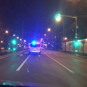 batausi politie (7)
