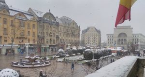 iarna timisoara