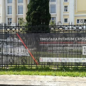 31265662_10216169783534922_7588697146010894336_n