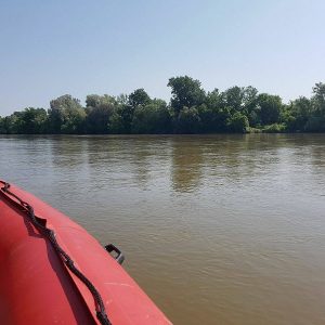 copil inecat disparut mures (3)