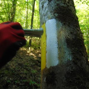 trasee turistice (1)