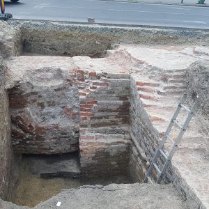 vestigii marasti (8)