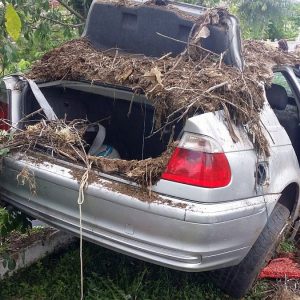 accident alios (1)