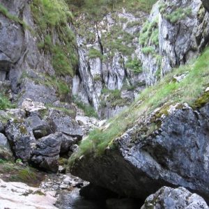 10. cascada
