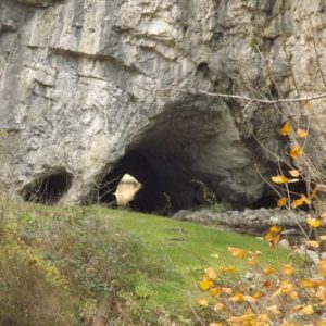 14. narile