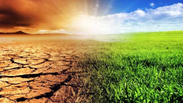 schimbari climatice