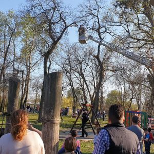 parcul copiilor crengi rupte (4)