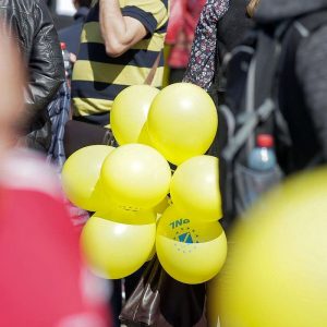 pnl partidul national liberal 1