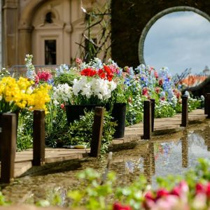 timfloralis9