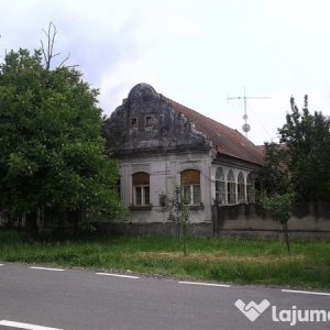 16. casa veche costei