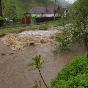 cod galben de inundatii 2