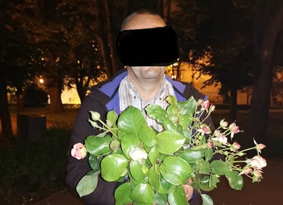 furt trandafiri
