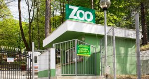 zoo resita