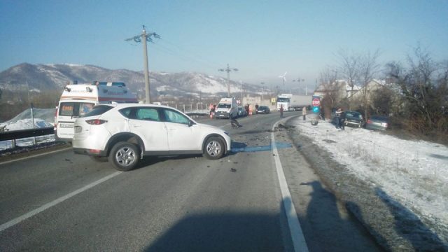 Sursă foto: DRDP Timișoara