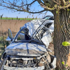 accident jimbolia (2)