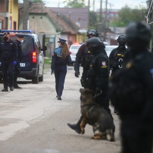 razie kuncz mascati 4