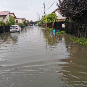 inundatii dumbravita 3
