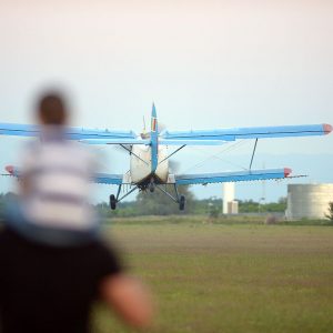 avion dezinsectie GBZ (4)