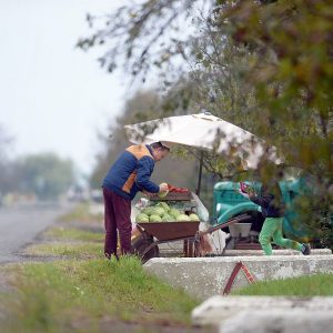legume fructe vanzare stradala foto gabriel brezeanu GBZ