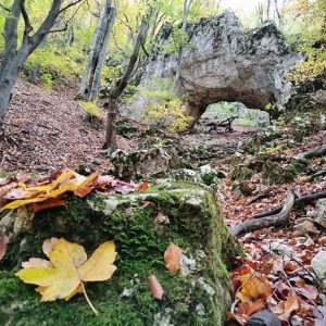 1. frumuseti naturale