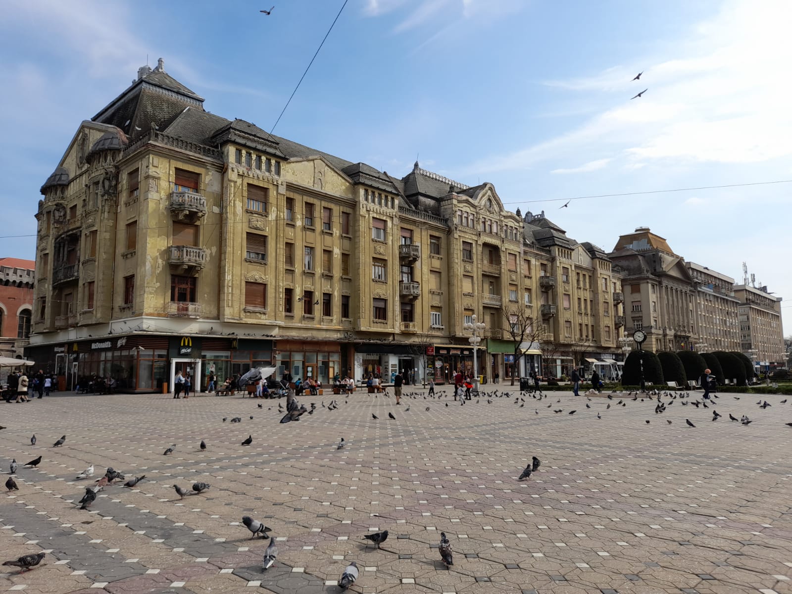piata victoriei opera timisoara (6) PRESSALERT.ro