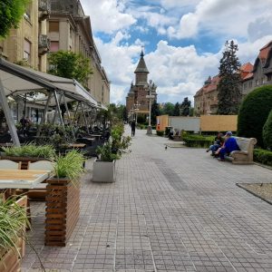 Piata Victoriei Piata Operei centru Timisoara (1)