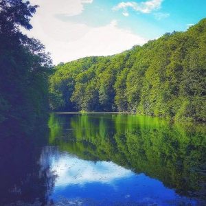 2. muntii dognecei