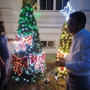 brad craciun arad (8)