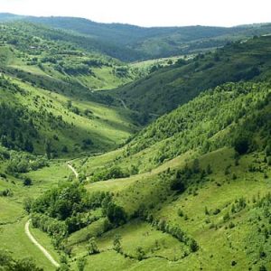 2. tinutul padurenilor