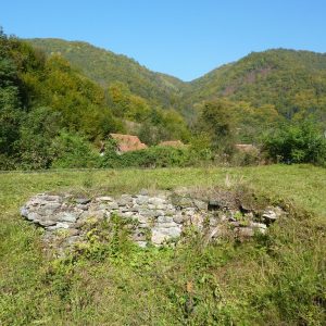 4. ruine furnal toplita