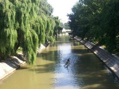 Descoperire macabră pe malul râului Bega: Un bărbat a fost găsit mort lângă un ponton