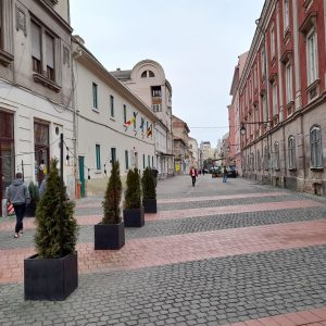 oameni strada timisoara zona pietonala centru (2)