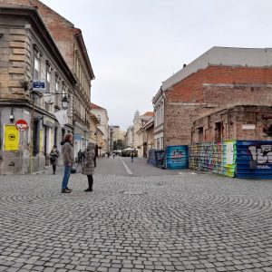 oameni strada timisoara zona pietonala centru (3)