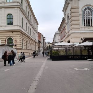 oameni strada timisoara zona pietonala centru (4)