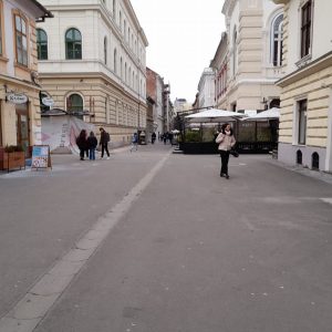 oameni strada timisoara zona pietonala centru (5)