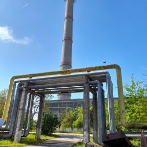 colterm (10)